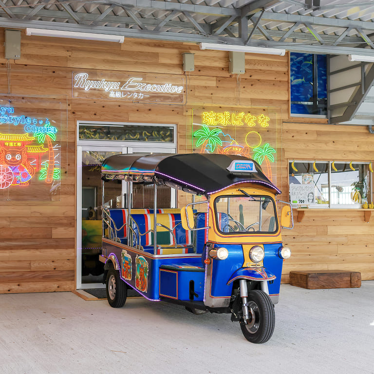 ギャラリー写真16